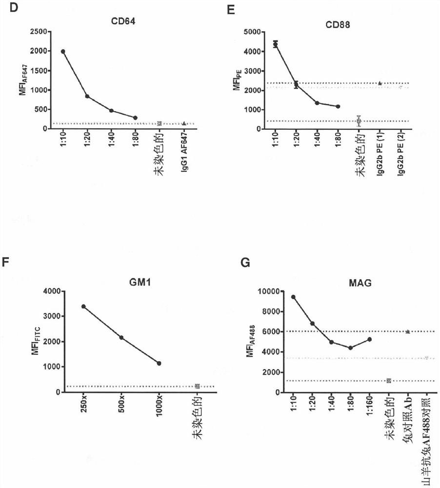 Antagonists of complement system for use in methods of treating paraproteinemia neuropathy