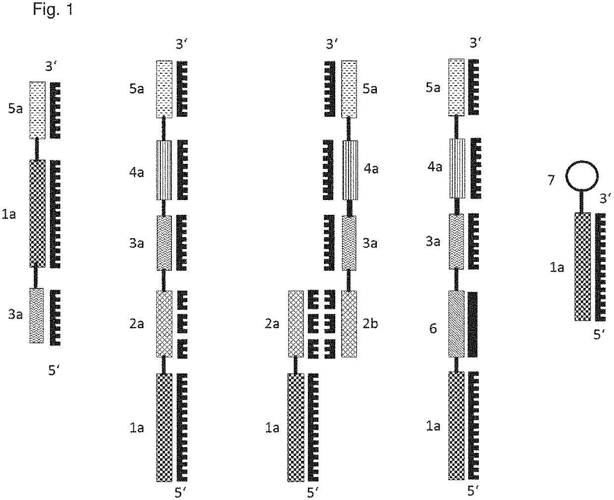 In situ cell analysis in cell culture system