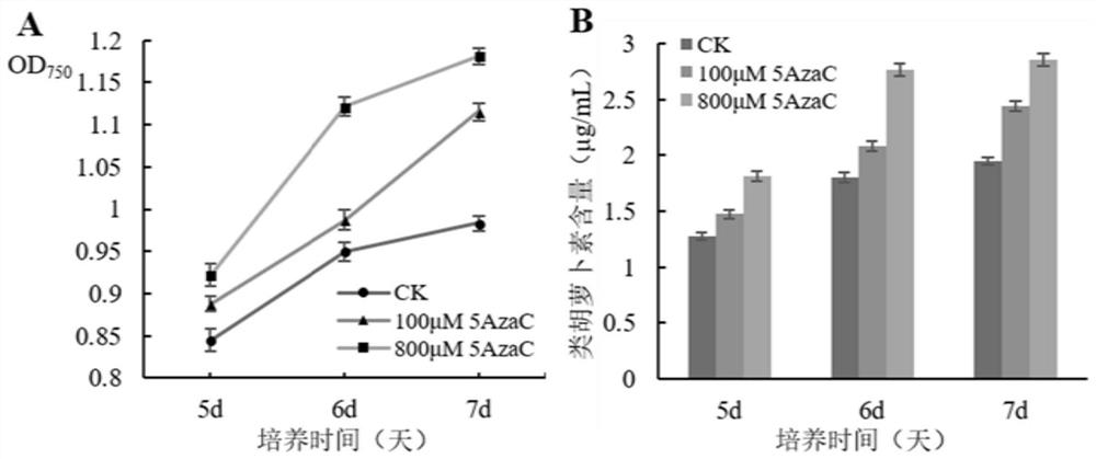 A method for increasing the biomass and carotenoid content of Chlamydomonas reinhardtii by using DNA methyltransferase inhibitors