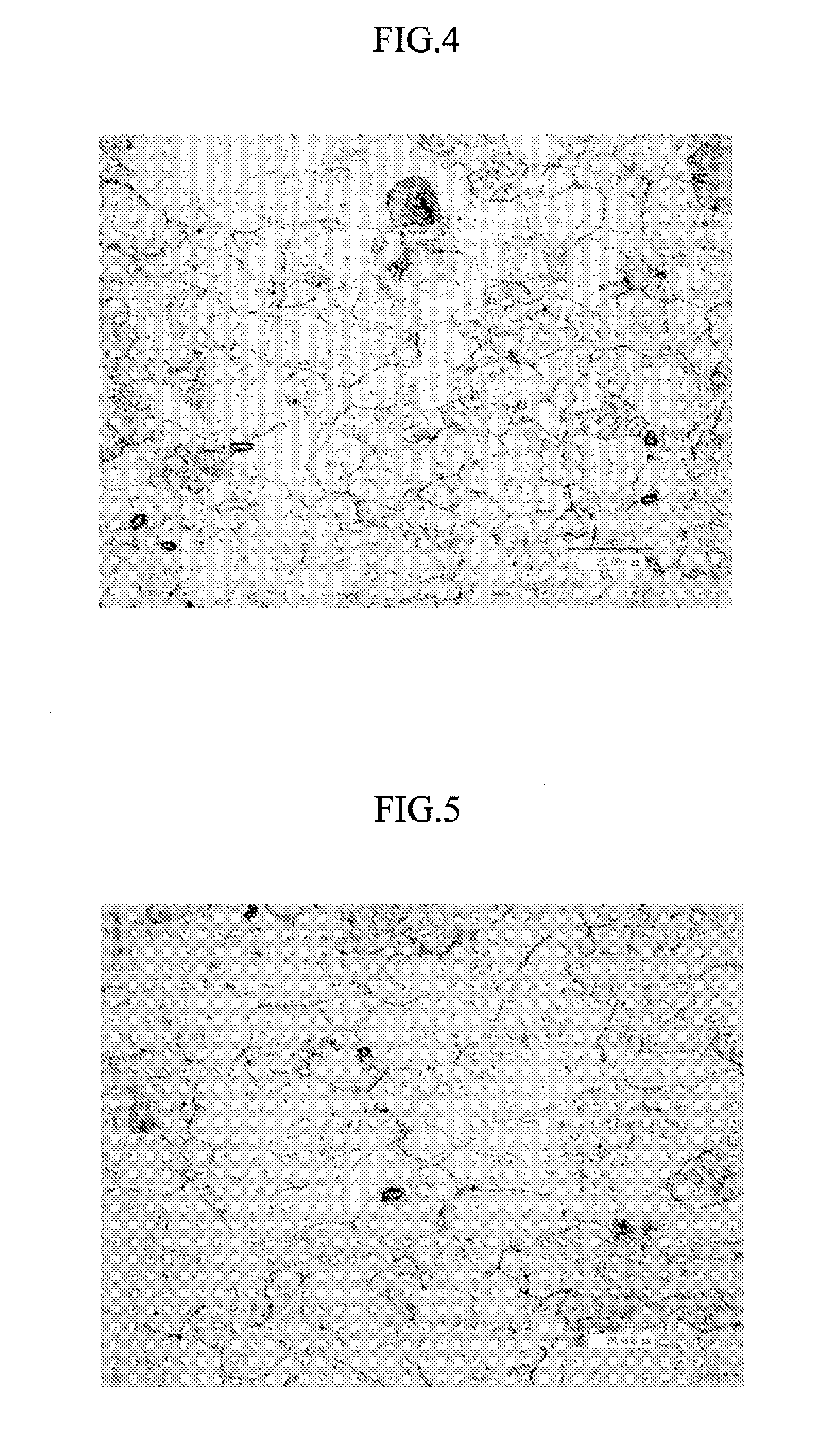 Manufacturing method of copper alloy sheet