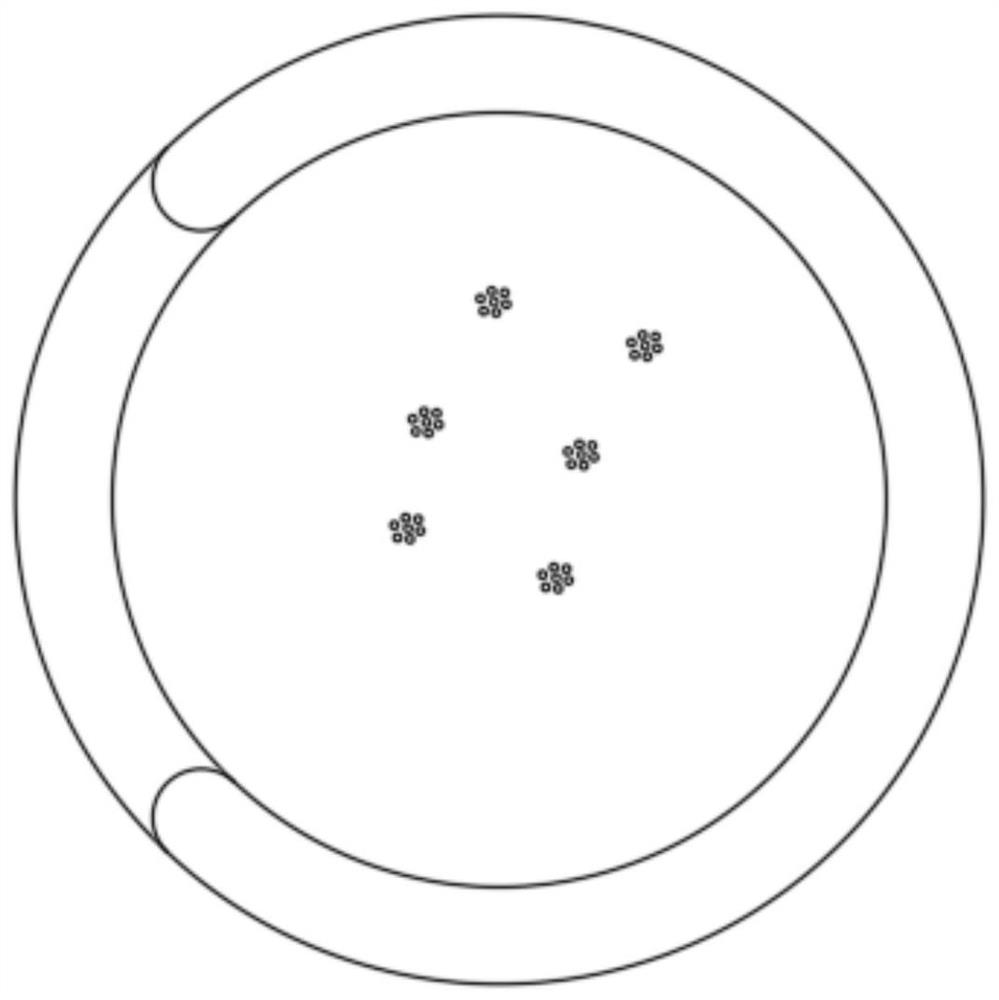 Head-mounted acupuncture point stimulation device based on Fangshi head acupuncture therapy and used for adults