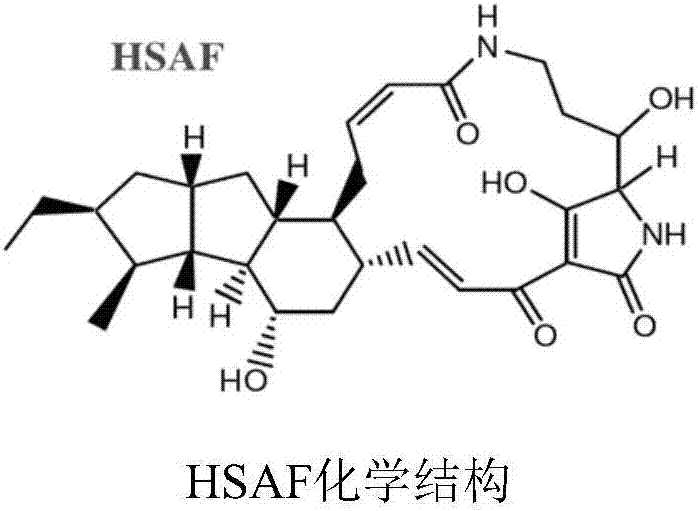 Method for quickly and efficiently extracting active antimicrobial substance HSAF (Heat Stable Antifungal Factor) in fermentation liquor