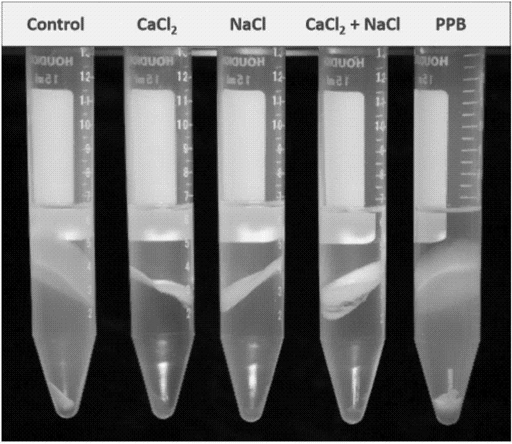 Method for quickly and efficiently extracting active antimicrobial substance HSAF (Heat Stable Antifungal Factor) in fermentation liquor