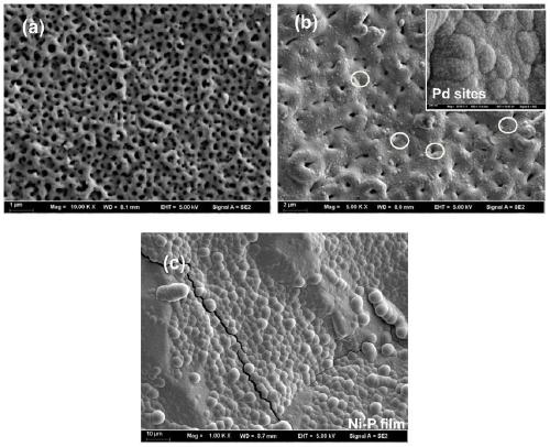 A method for electrodepositing nanocrystalline functional coatings on the surface of anodized porous metal substrates