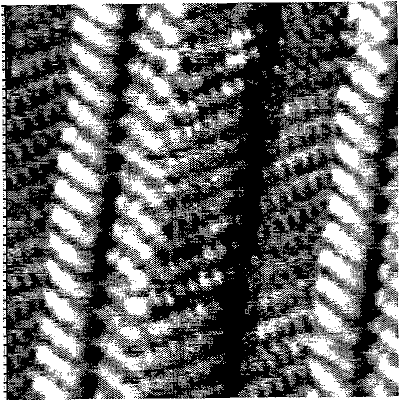 Organic molecular line and preparation method