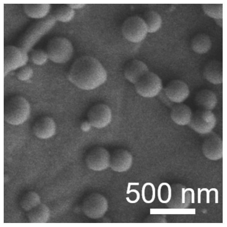 Monoatomic dispersed in-situ growth nitrogen atom-doped carbon nanosphere graphene foam, preparation method and application