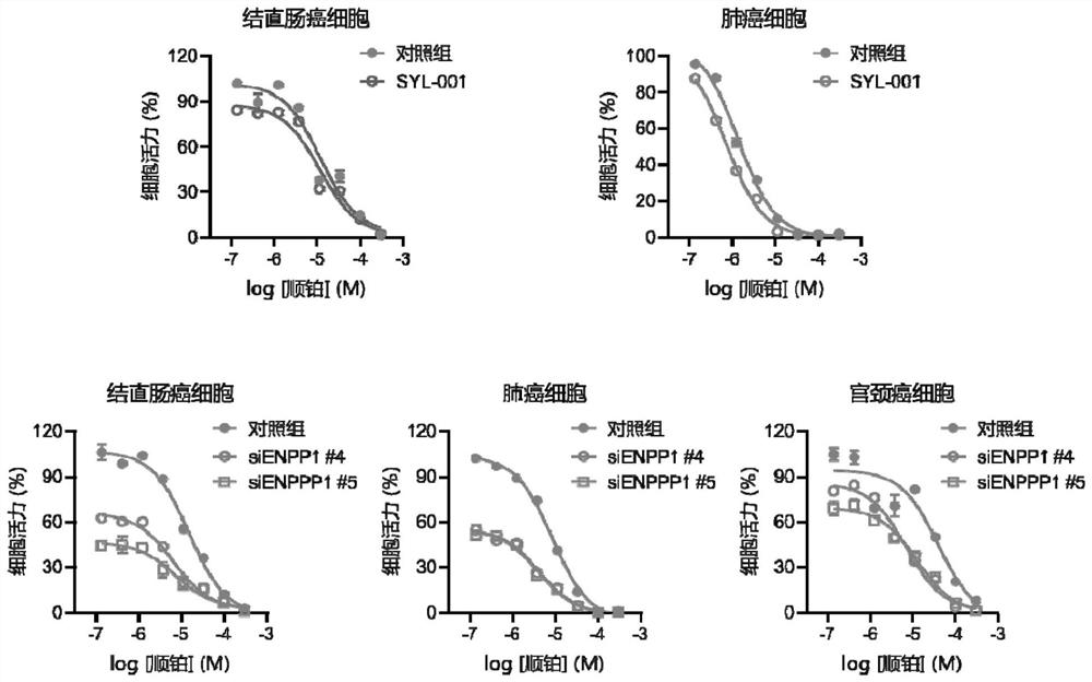 Application of drug combination of ENPP1 inhibitor and anticancer drug to preparation of antitumor drug