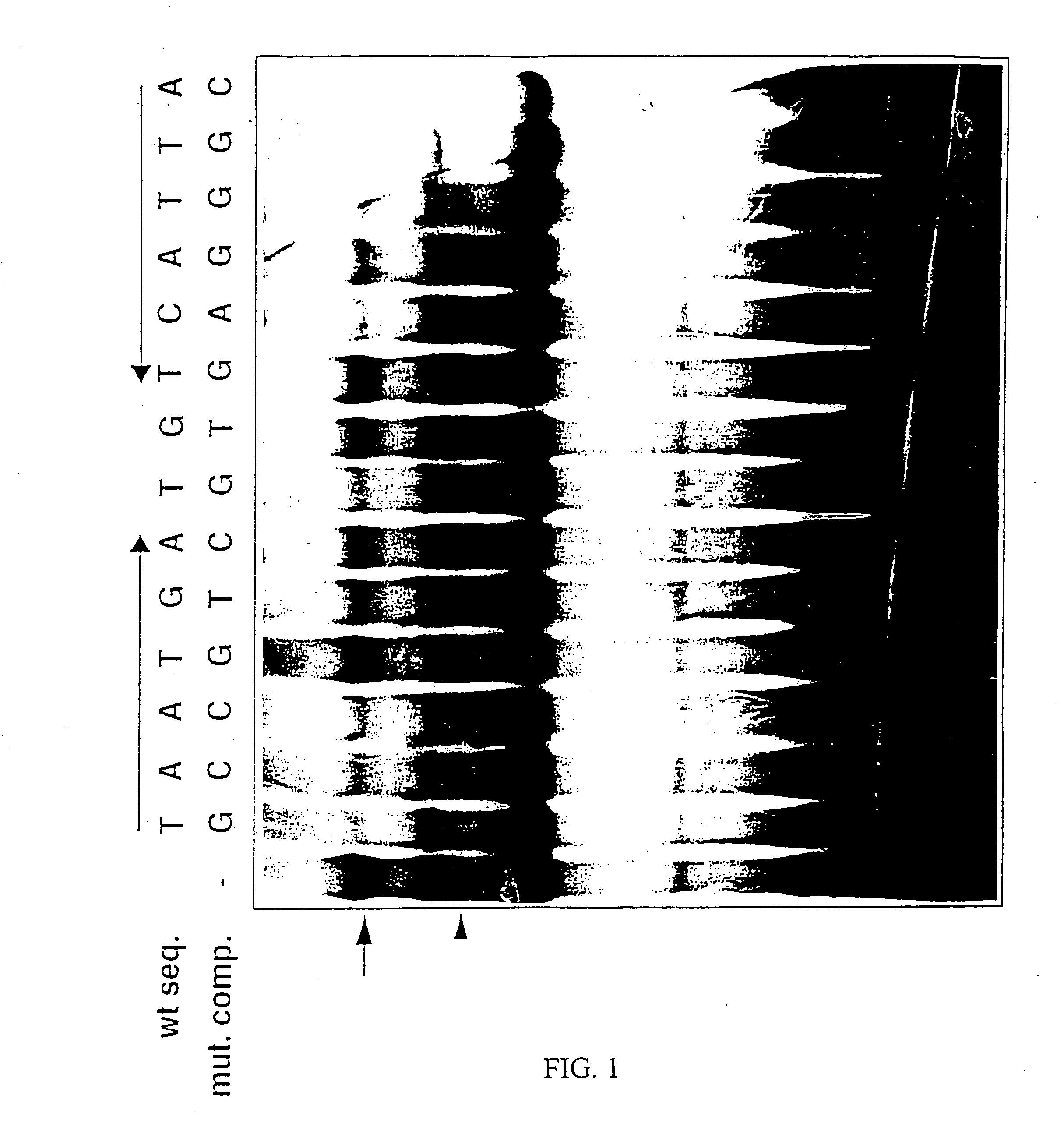 Methods for modulating apoptotic cell death