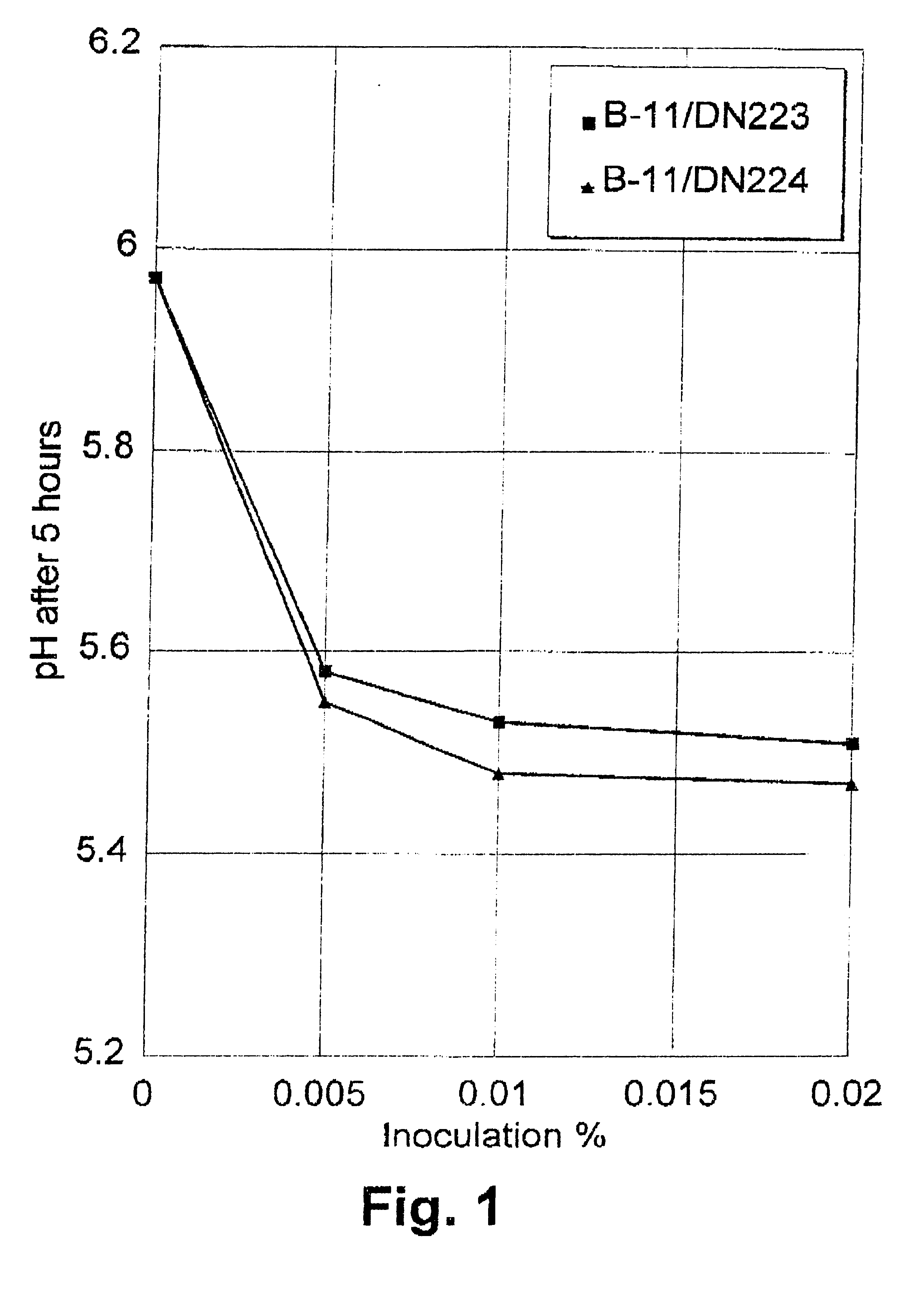 Method of improving the efficacy of lactic acid bacterial starter cultures and improved starter culture compositions