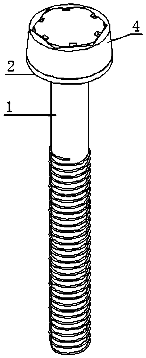 Aviation anti-disassembly outer hexagonal screw device