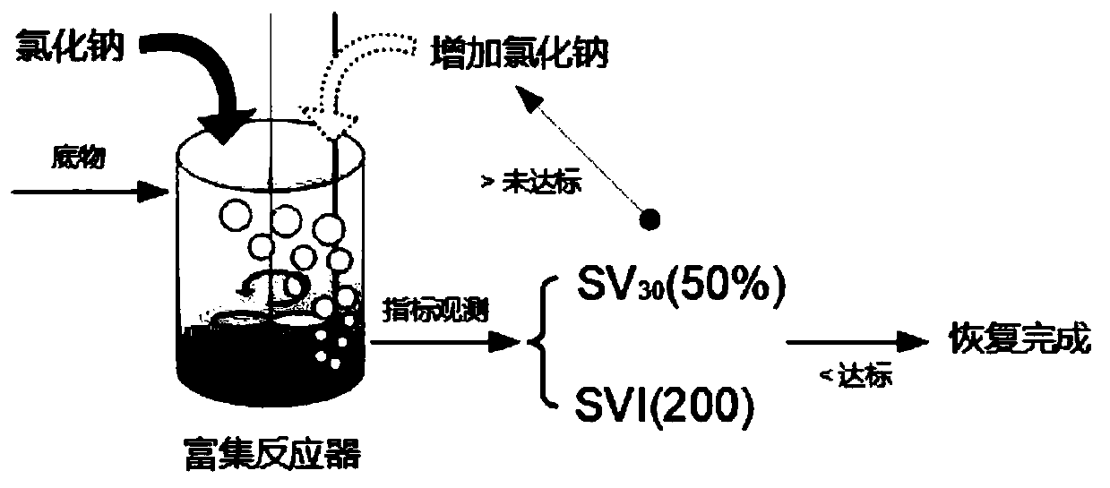 Method for controlling synthesis stability of polyhydroxyalkanoate of mixed flora through sodium chloride