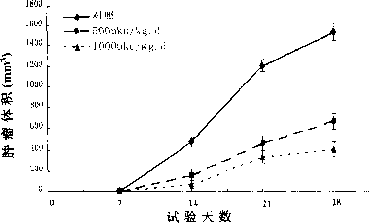 Application of lumbricus plasmin component for anti-tumour