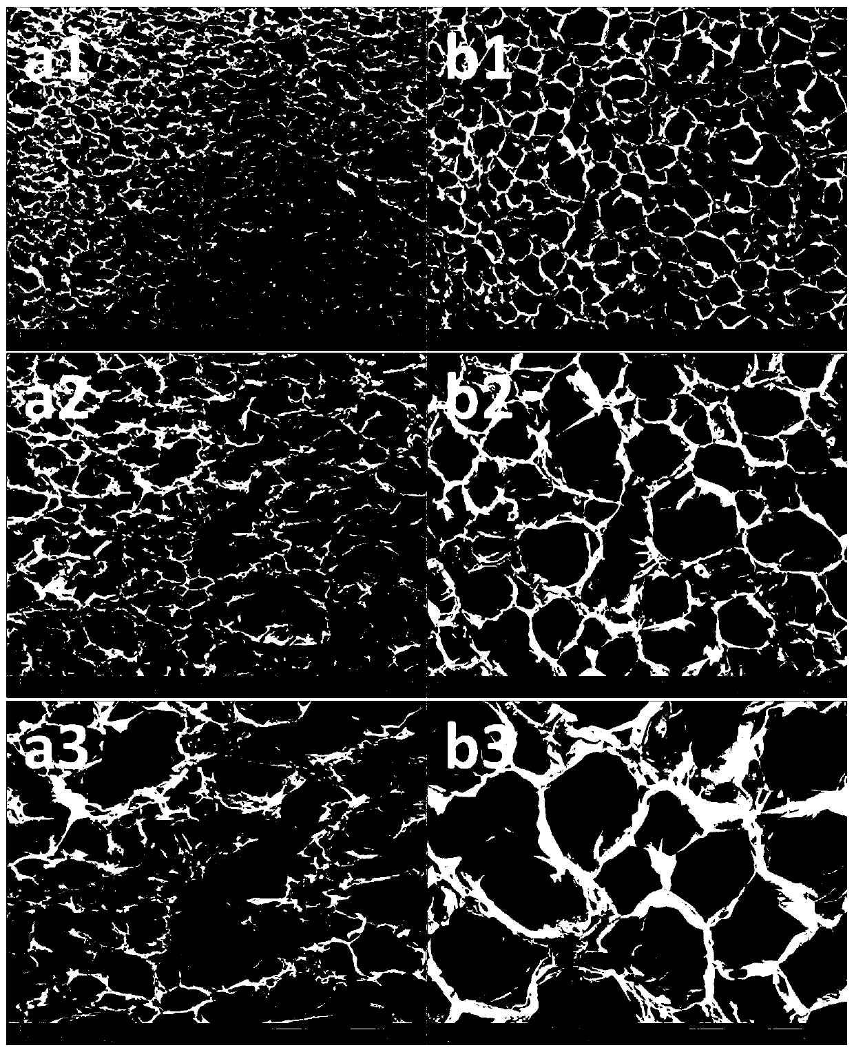 A chitosan-based gradient biomimetic composite scaffold material and its construction method