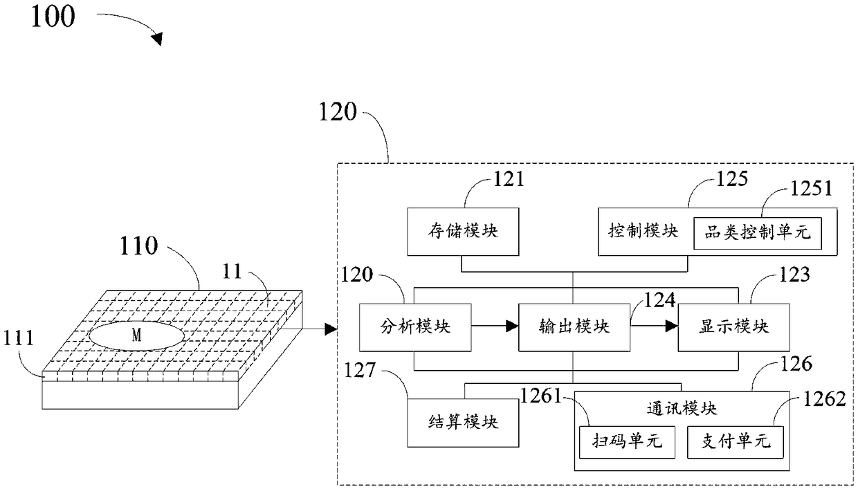 Intelligent weighing system, regional weighing method and shopping trolley