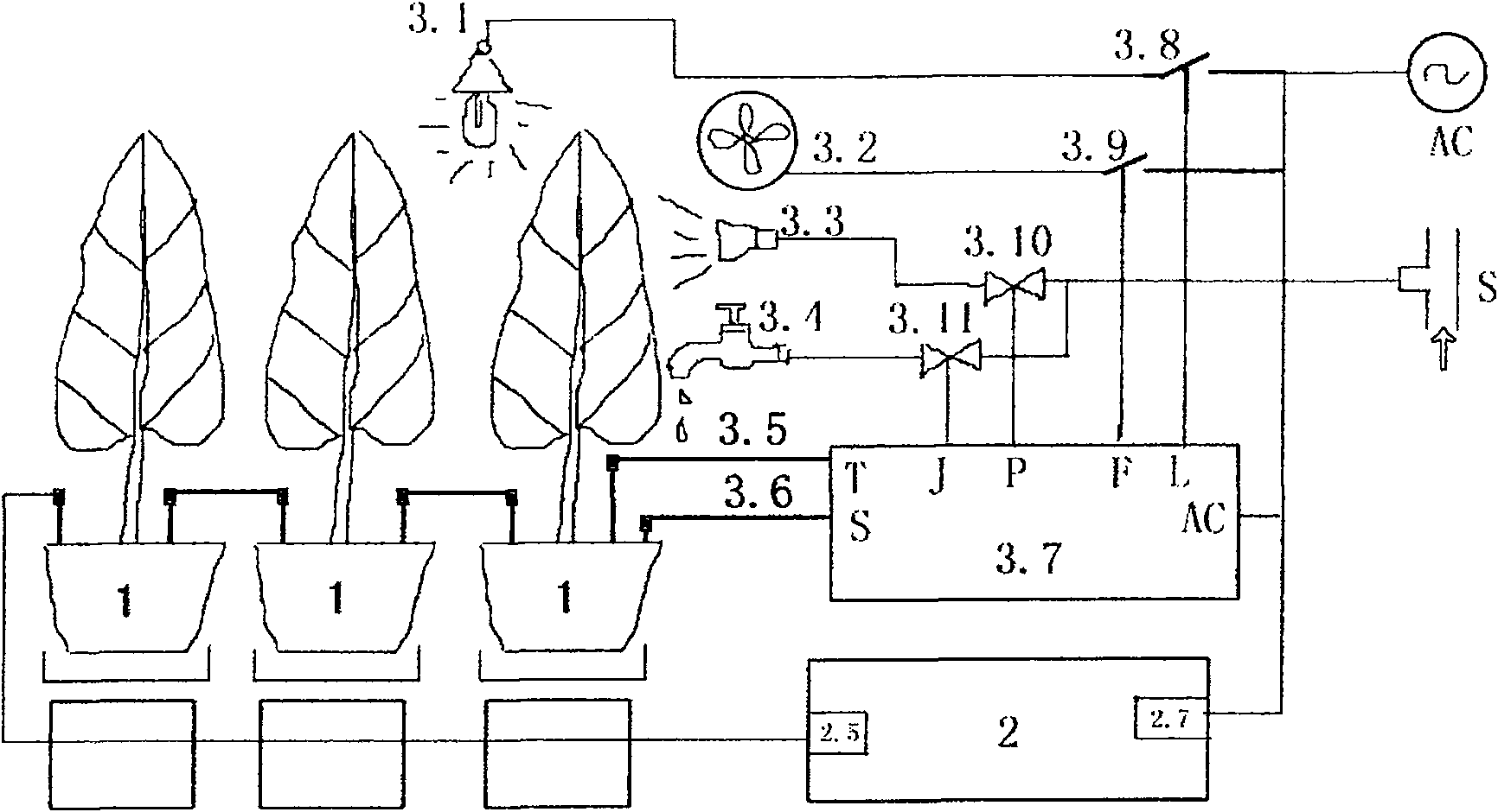 Method for purifying the air by surge field energy green plant