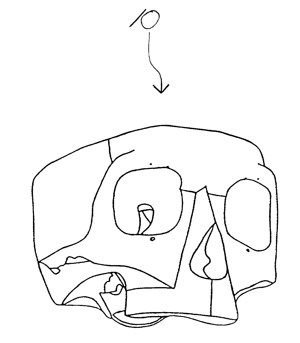 Paper-skull-model system
