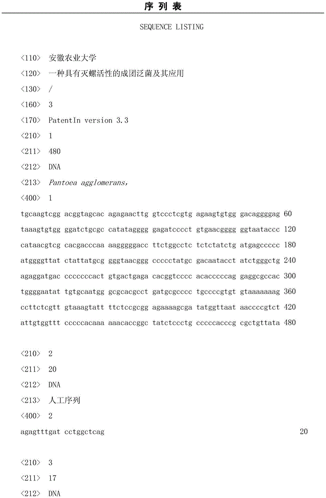 Pantoea agglomerans with molluscicidal activity and application thereof