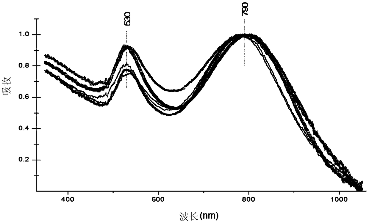 Cells loaded with gold nanoparticles for use in the diagnosis and/or treatment of melanoma