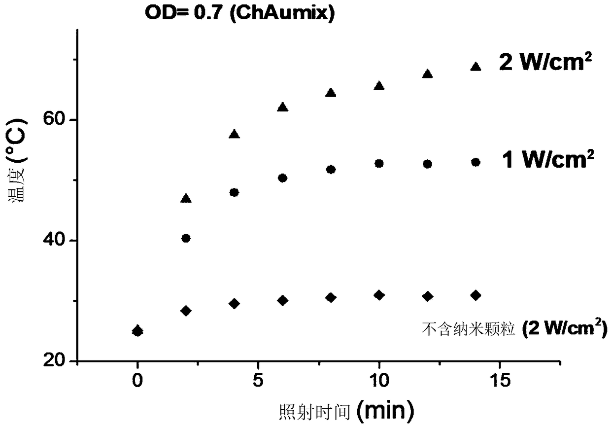 Cells loaded with gold nanoparticles for use in the diagnosis and/or treatment of melanoma