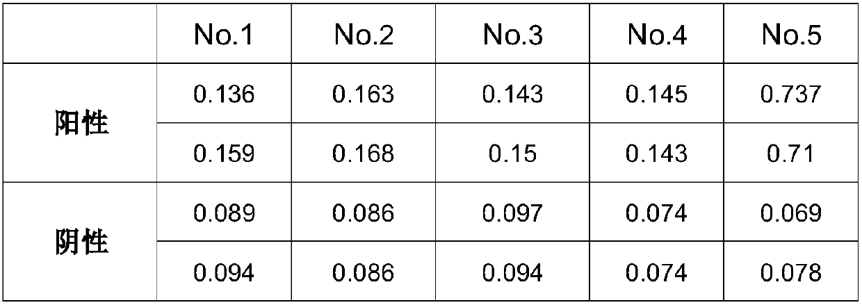 Specific antigen polypeptide for reticuloendotheliosis virus of poultry and application