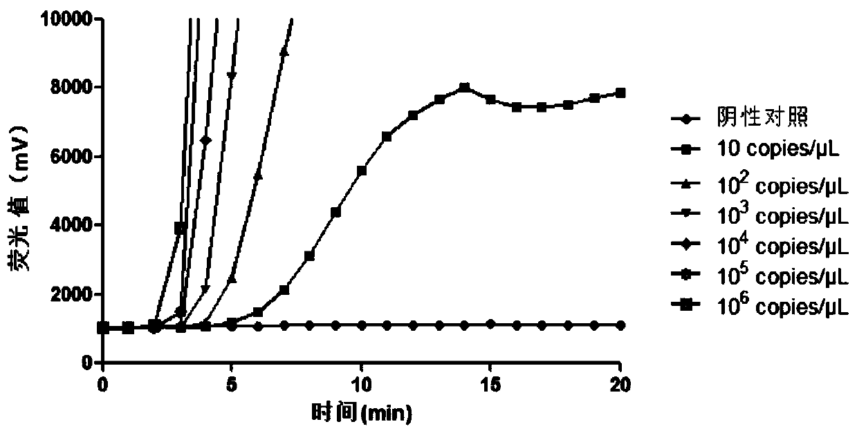 Primer group, probe and kit for detecting schistosoma haematobium