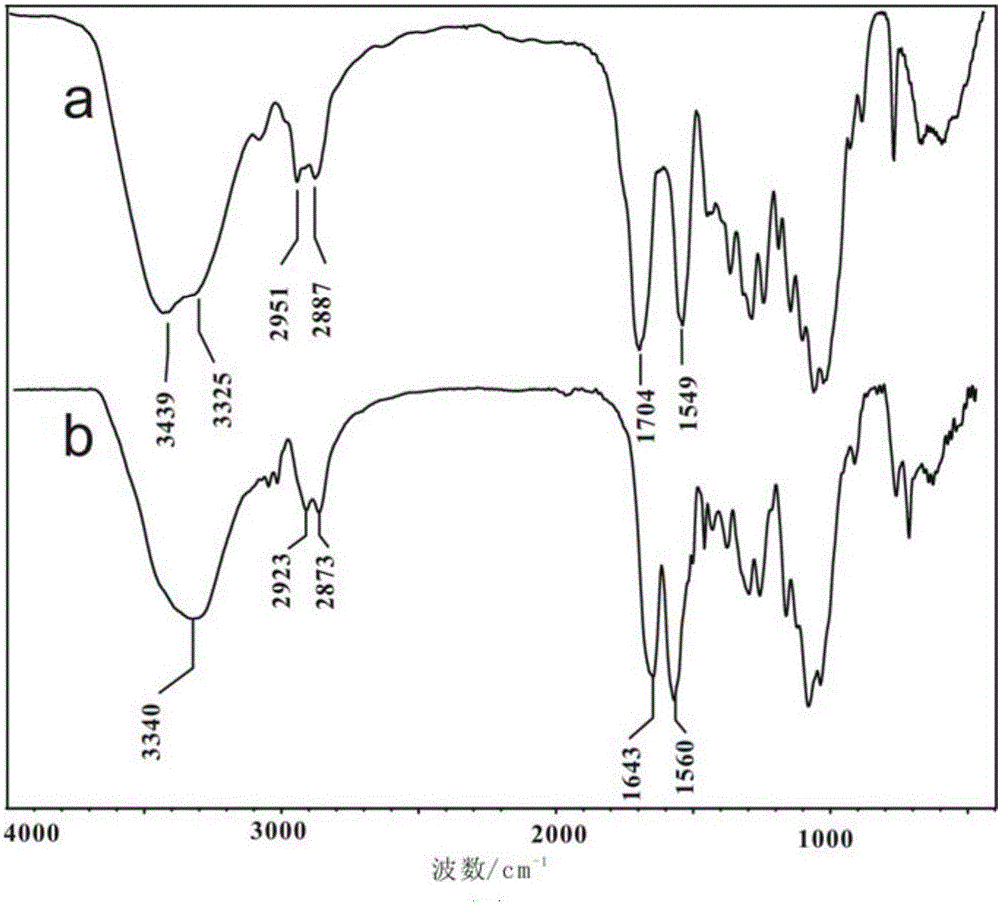 Chitosan-alkyl urea and preparation method thereof