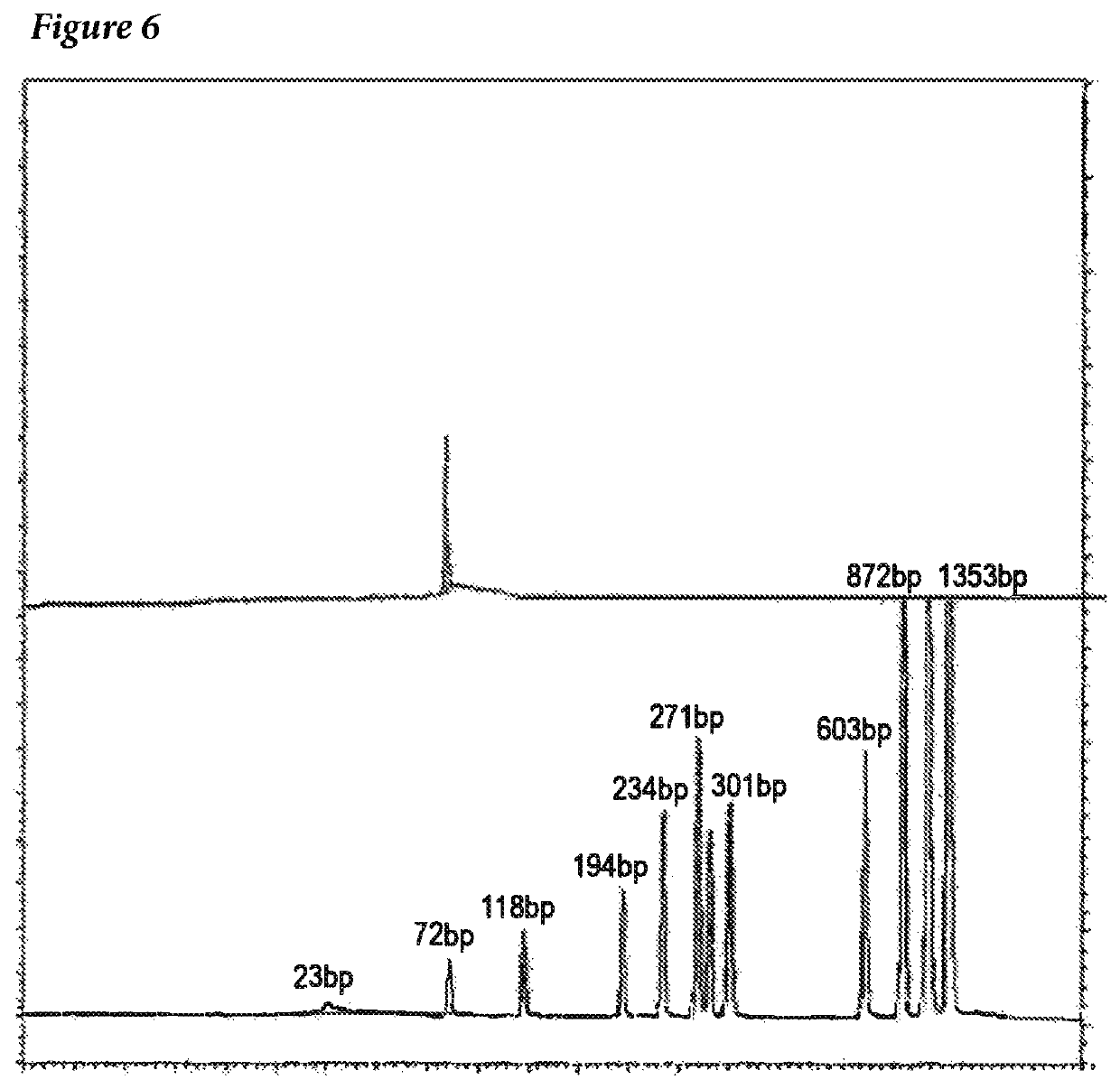 Cell-derived viral vaccines with low levels of residual cell DNA