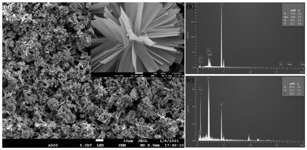 Titanium-molybdenum-zirconium metastable beta titanium alloy surface modification method