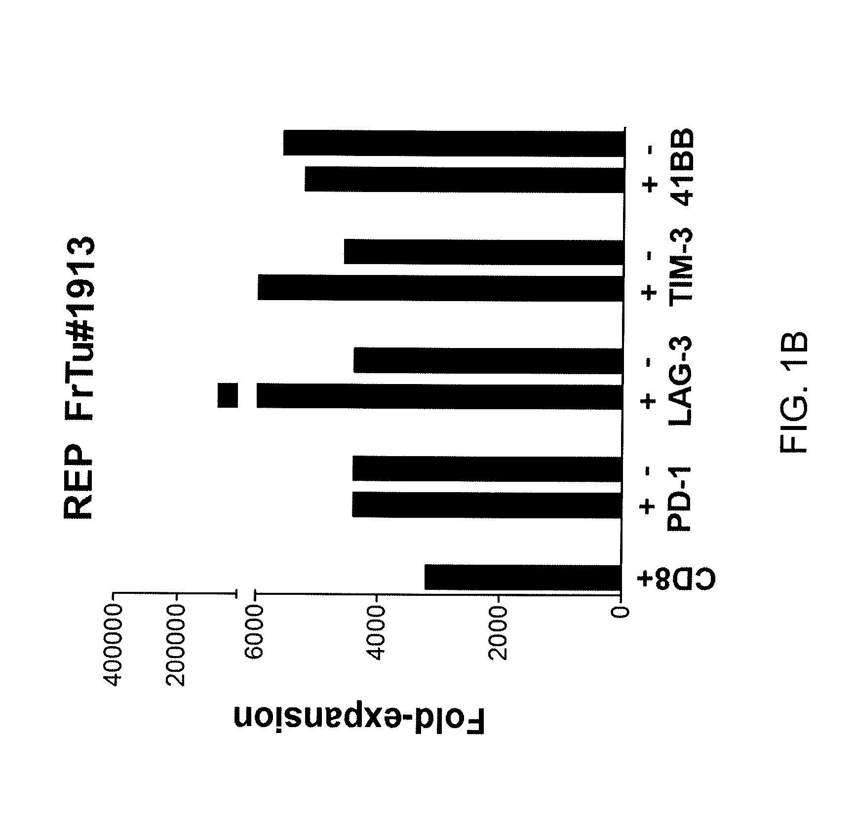 Methods of producing enriched populations of tumor-reactive t cells from tumor