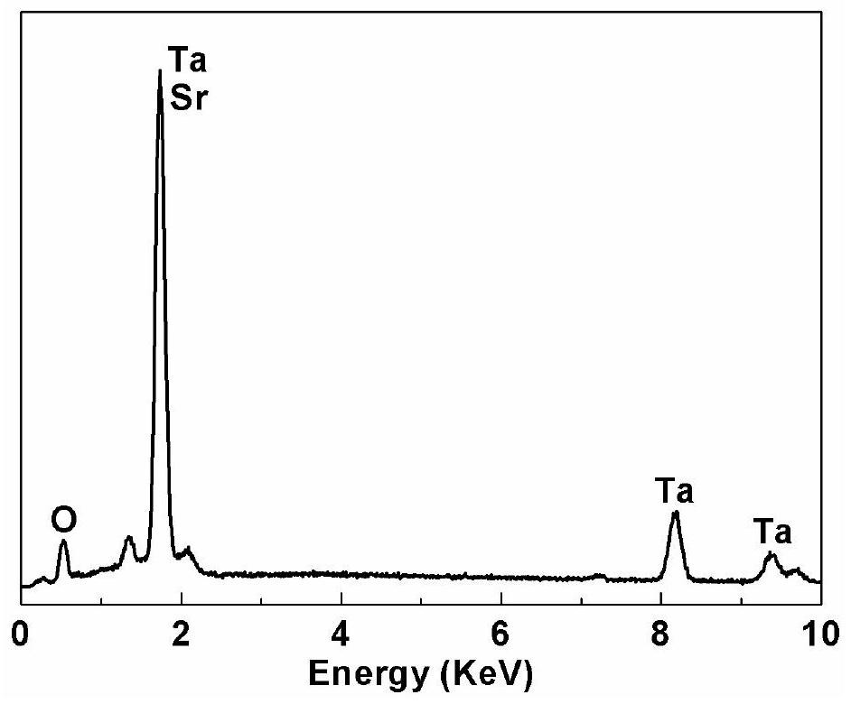Preparation method of strontium-doped tantalum oxide nanorod structure bioactive coating