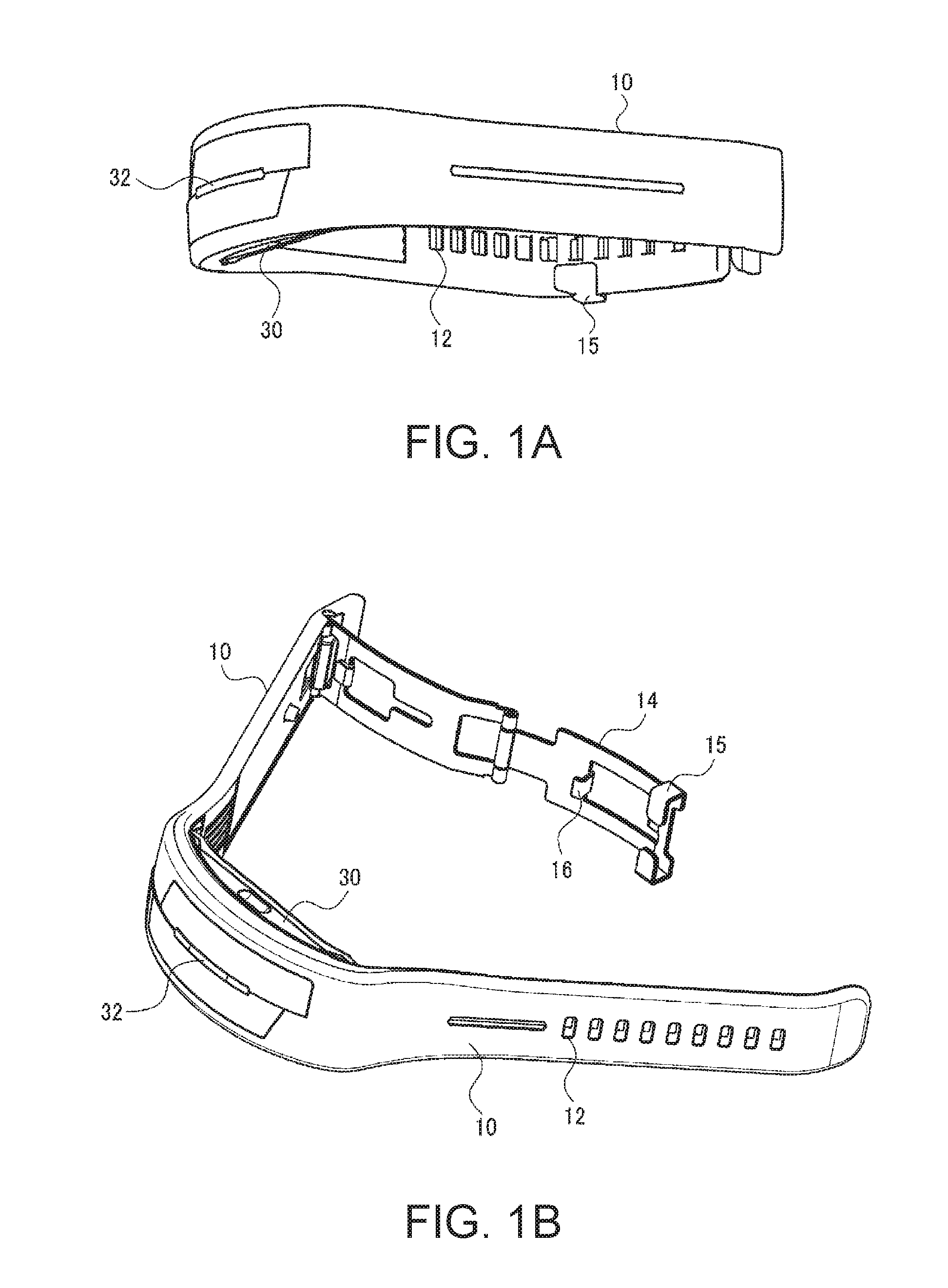 Biological information measuring module and biological information measuring apparatus