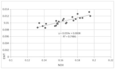 Southern camphor tree leaf equivalent water thickness measuring device and spectrum inversion method