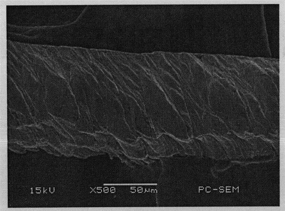 Stainless steel based metal fiber porous material with high specific surface area and preparation method thereof