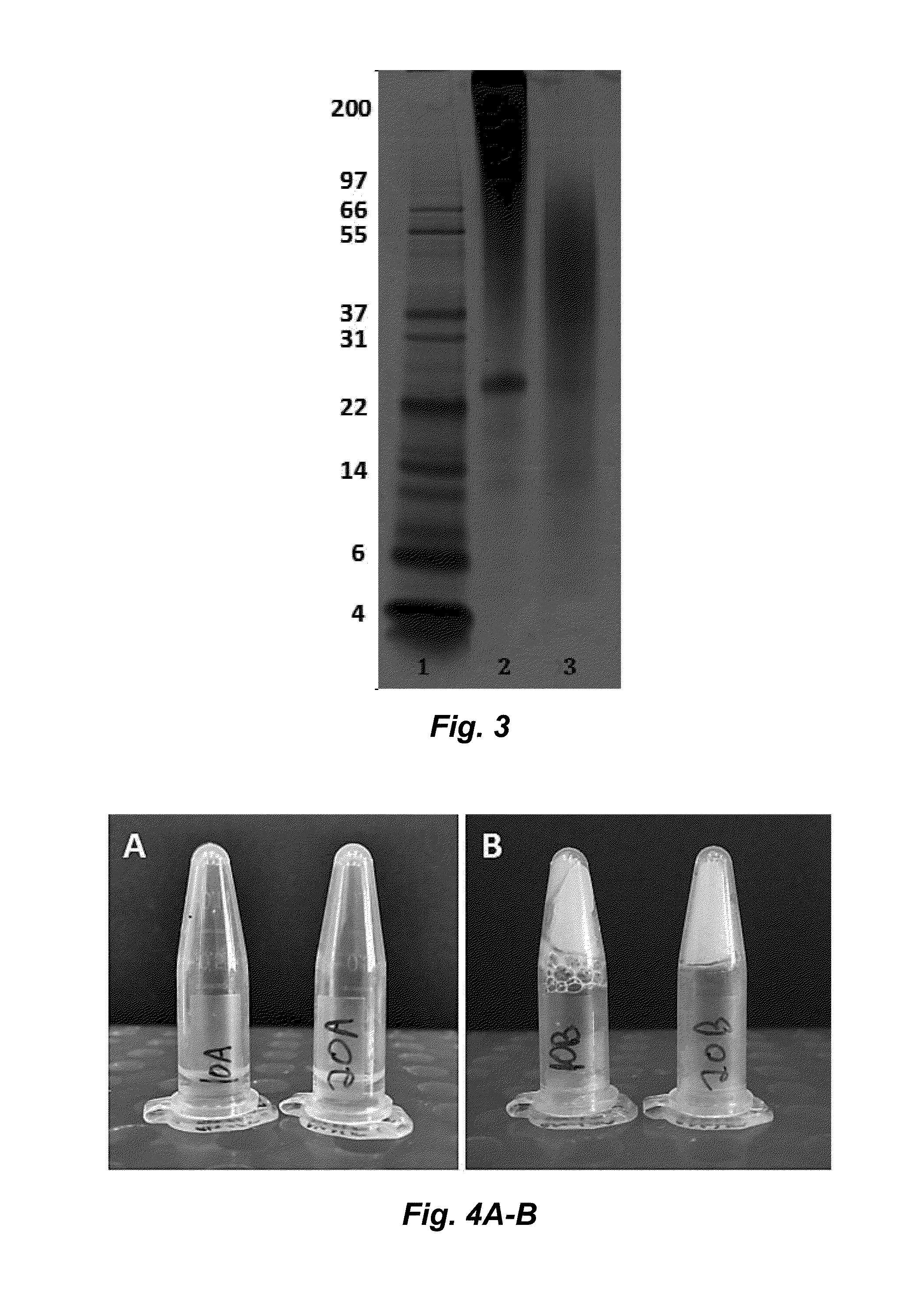 Fibroin-derived protein composition