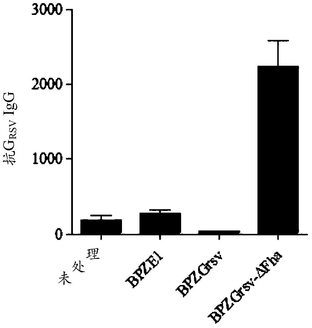 Novel Recombinant Bordetella Strains