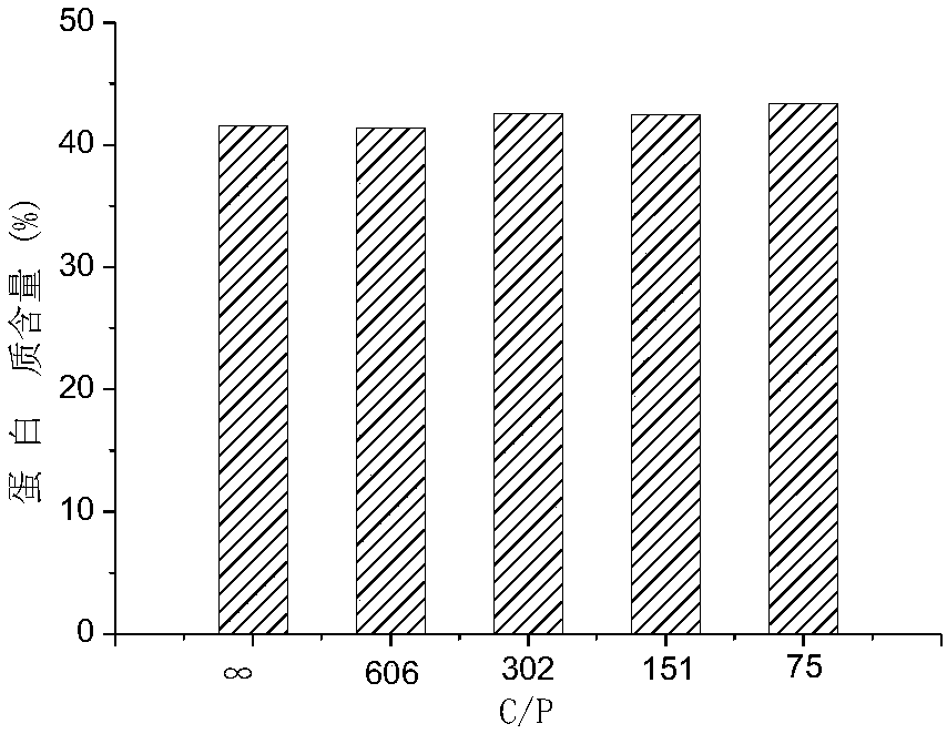 Method for high-efficiency and high-density culture of biological bait