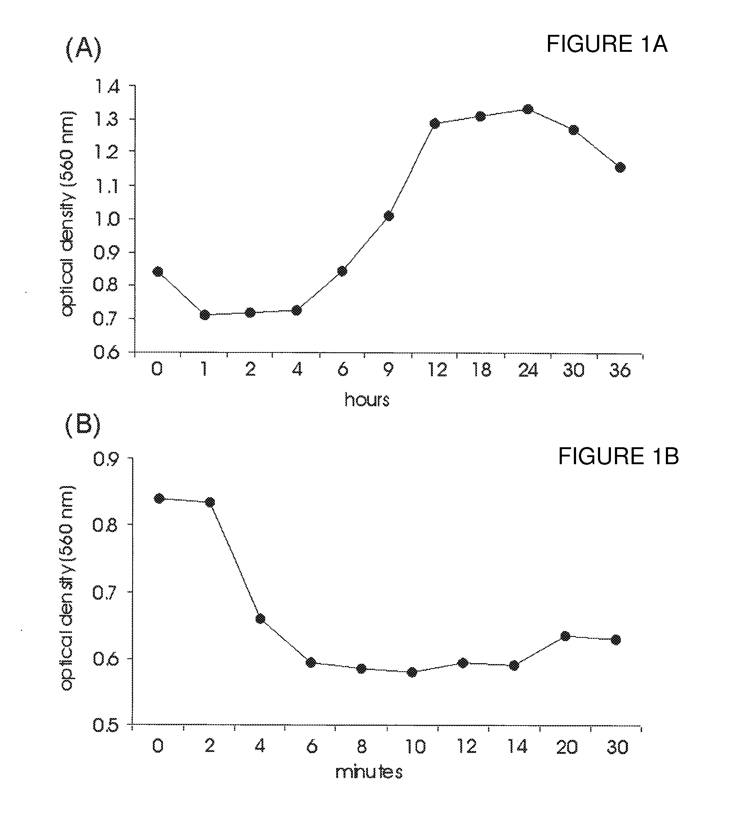 Targets and compositions for use in decontamination, immunoprophylaxis, and post-exposure therapy against anthrax