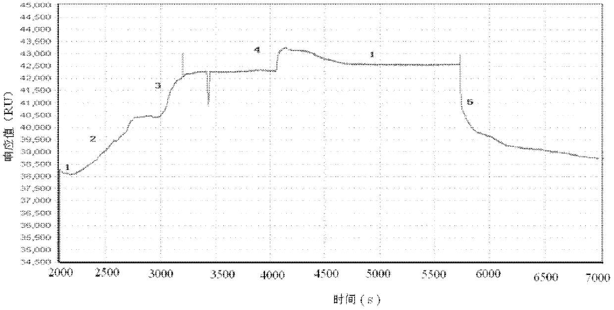Method for preparing chlorsulfuron molecular imprinting SPR (surface palsmon resonance) sensor chip