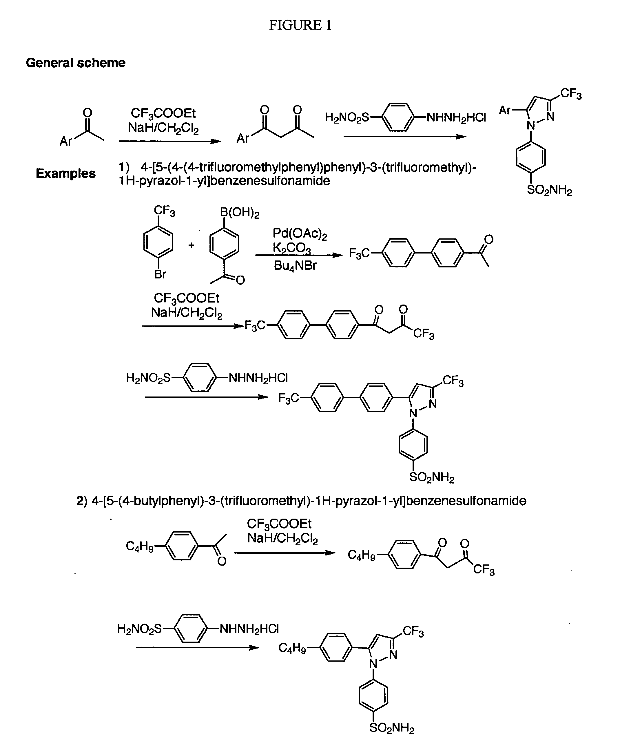 Compounds and methods for inducing apoptosis in proliferating cells