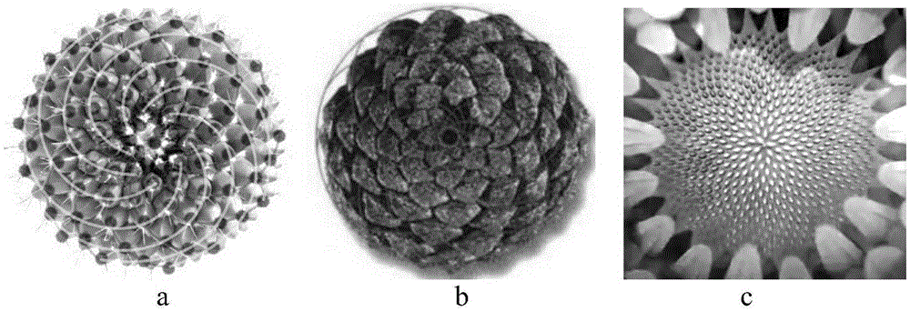 Paraboloid module division method based on screw theory