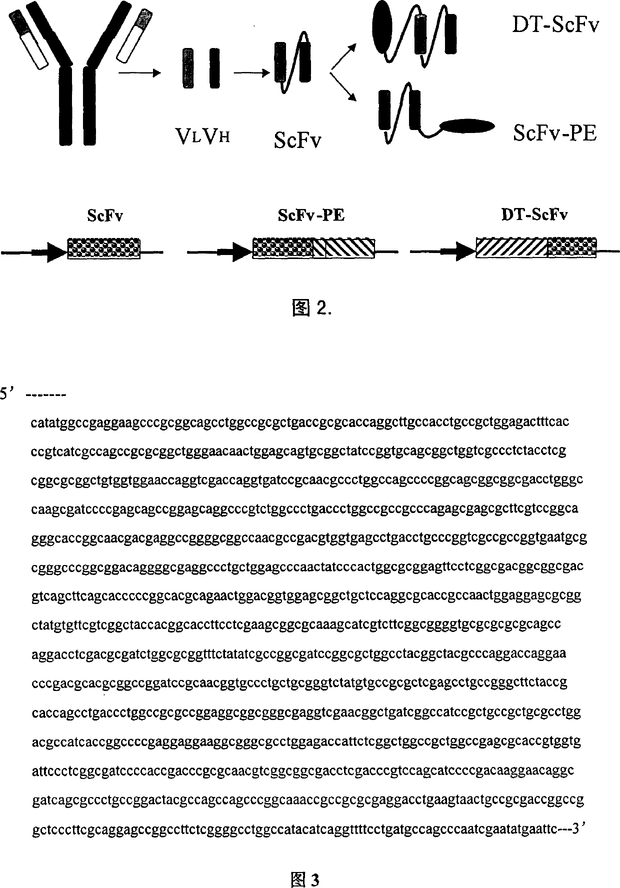 Single-chain antibody resisting HIV-1 outer membrane protein and recombinant immunotoxin