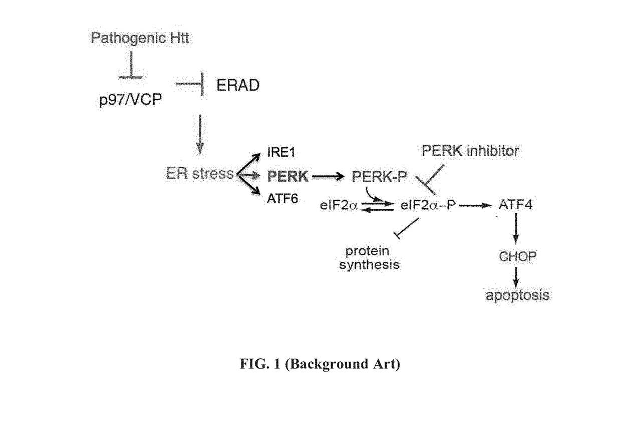 Perk inhibitors and uses thereof in treating diseases associated with aggregation-prone proteins