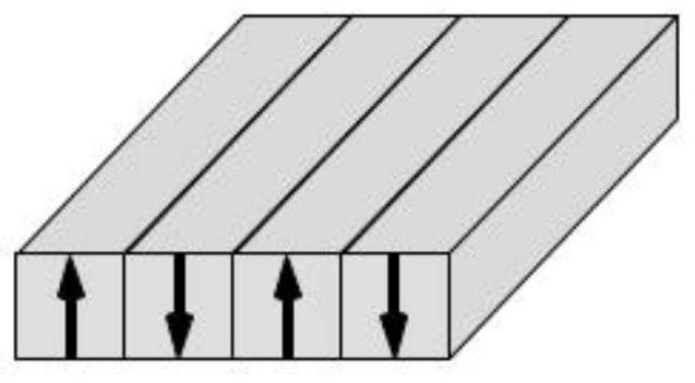 A Novel Anti-Magnetic Levitation Voltage Induction Micro-Driver and Its Control Method