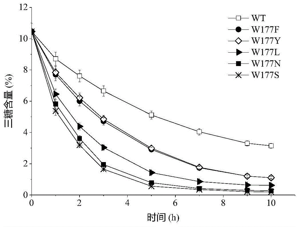 Maltogenic amylase mutant with low conversion byproducts and mutation method of maltogenic amylase mutant