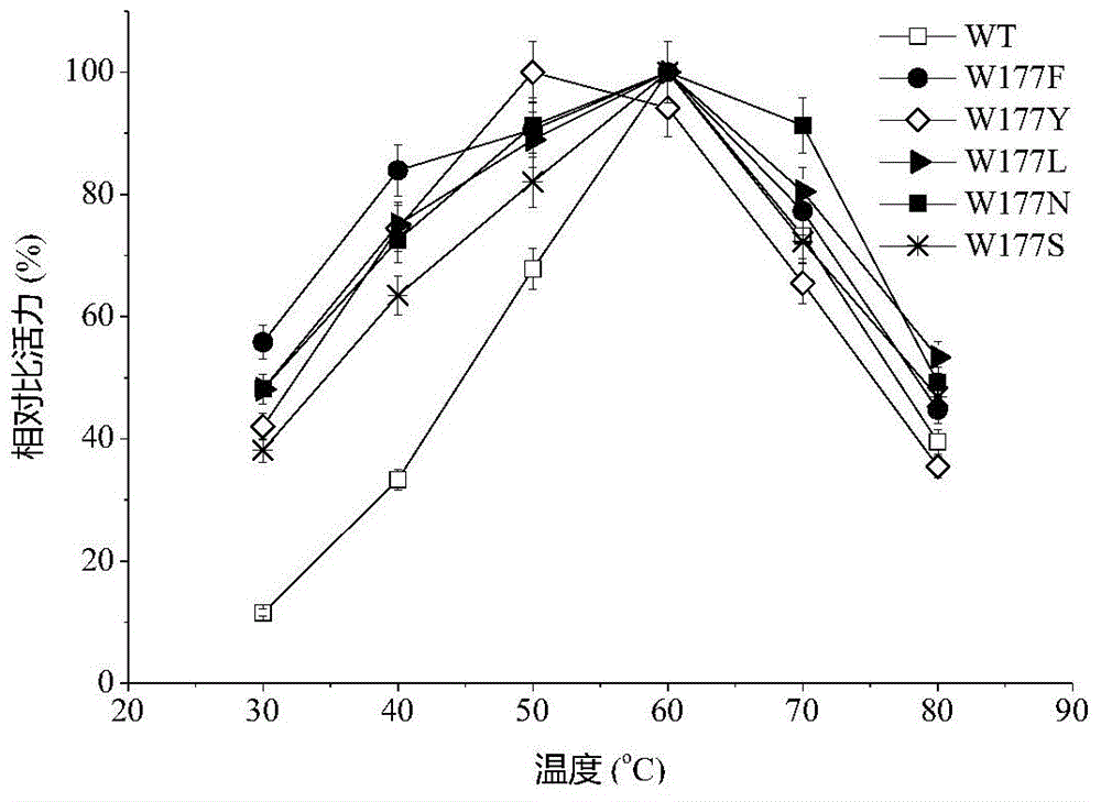 Maltogenic amylase mutant with low conversion byproducts and mutation method of maltogenic amylase mutant