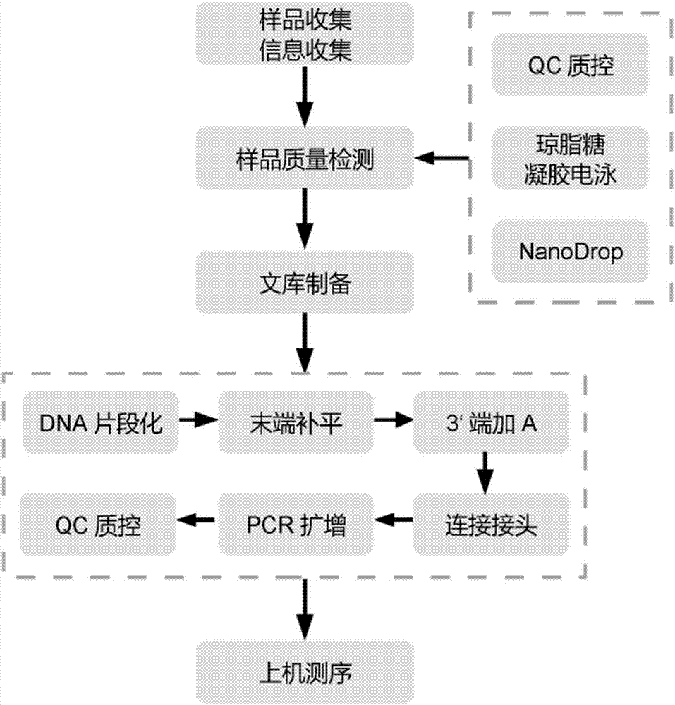 Application of tuberculosis microbial marker in preparation of reagents for diagnosing tuberculosis