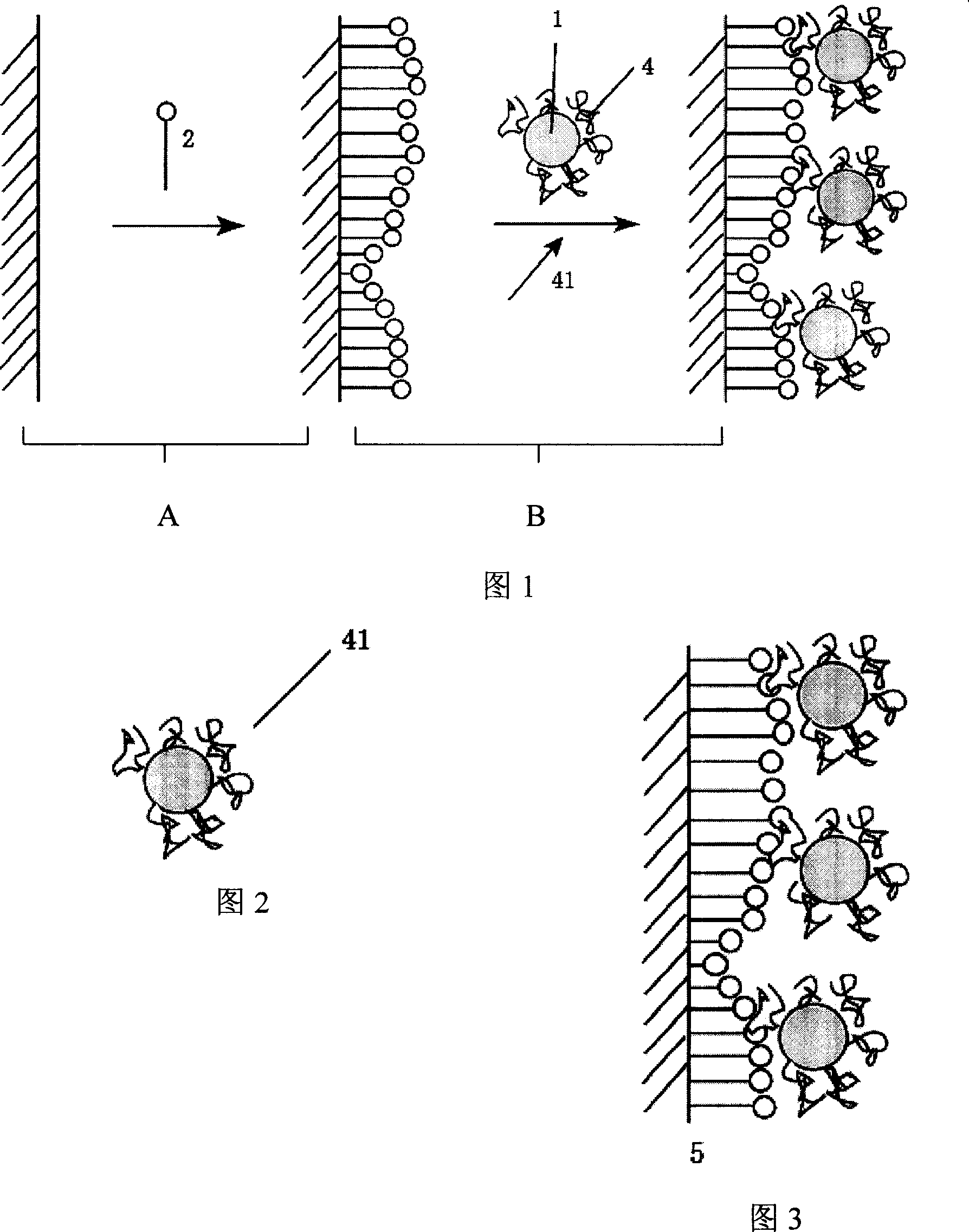 Nano metal chiral identification solid phase, chiral separation chromatograph and its preparation method