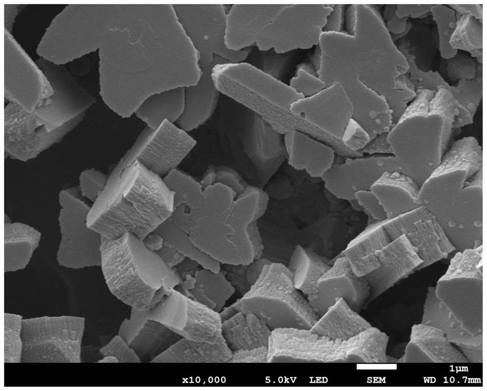 Porous copper current collector, preparation method thereof and application of porous copper current collector in zinc/sodium ion battery