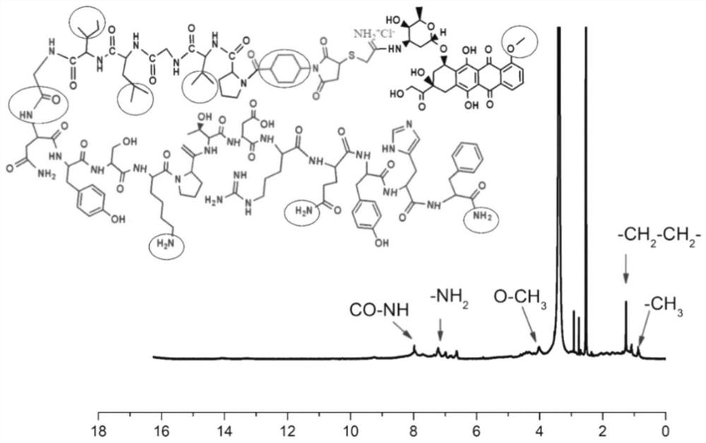 Immune checkpoint blocking polypeptide prodrug nano-micelle, preparation method and application