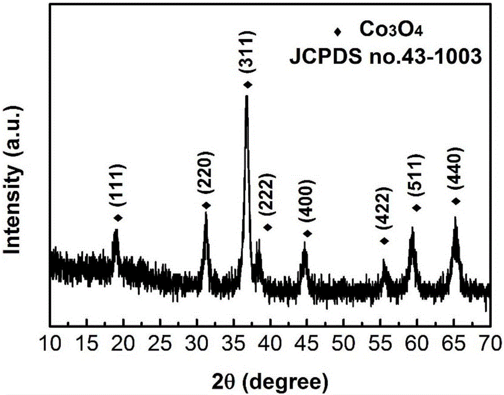 Cross cobalto-cobaltic oxide nanosheet array, gas sensor containing the array and application thereof